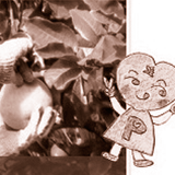 山口農園サイト